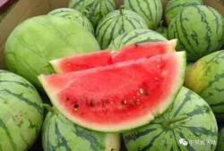 西安今日吃瓜事件视频,一场网络热议背后的真相揭秘