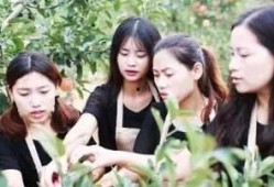 四姐妹和亚索吃瓜视频,揭秘网络红人吃瓜背后的故事