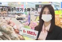 韩国民众吃瓜视频网站下载,吃瓜视频网站下载，揭秘热门事件幕后真相