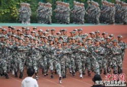 吃瓜大学生军训晚会视频,吃瓜大学生共度欢乐时光