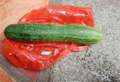 发吃瓜视频可以带什么货,揭秘热门带货新趋势