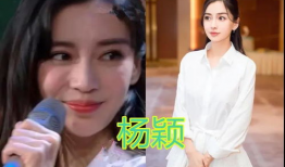 明星遇到吃瓜视频大全集,明星遭遇吃瓜视频全记录