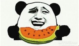 穿拖鞋的吃瓜群众视频