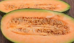 广东吃哈密瓜视频,哈密瓜视频大赏