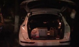 奥迪女销售员吃瓜视频,一瓜未平，又一瓜起！