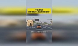 2025吃瓜视频,吃瓜视频引领潮流，揭秘娱乐圈幕后风云