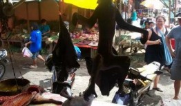 印尼广场吃瓜视频,全民围观的热闹一幕