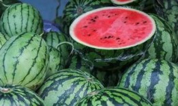 新疆近期的吃瓜事件视频