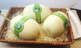 白玉瓜老了咋吃啊视频,视频教你美味翻倍