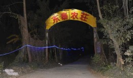 龙洞吃瓜事件视频