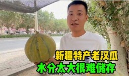 老外媳妇吃新疆老汉瓜视频,感受地道新疆风情