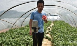 农民吃瓜群众视频,揭秘田间地头的欢乐时光