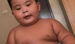 吃瓜主播小胖猪视频,揭秘娱乐圈幕后故事