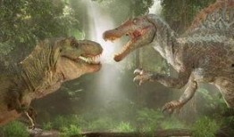 棘龙吃瓜视频完整版,揭秘史前巨兽的悠闲午后时光