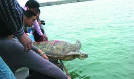 渔民演戏吃瓜视频播放,视频播放引发网友热议