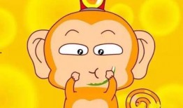 猴王吃瓜的视频,瓜果盛宴欢乐无限