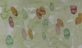 动画短片吃瓜视频,动画短片吃瓜视频带你领略趣味生活