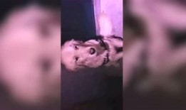 木木吃瓜视频在哪,热门话题背后的精彩瞬间