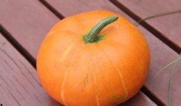 吃药吃瓜了的视频大全集,趣味视频全集盘点