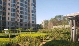 泰和家园吃瓜视频