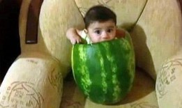 虎东矮娃吃瓜视频,趣味横生一幕幕