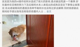 王校长吃瓜合集视频下载,揭秘校园风云录