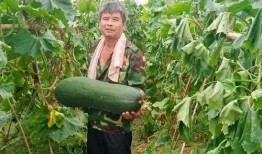 最劲爆的吃瓜视频,真相令人咋舌！