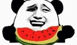 95后吃瓜群众视频大全,揭秘热门视频背后的娱乐风云