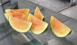 农村过年吃瓜视频大全,视频大全回顾