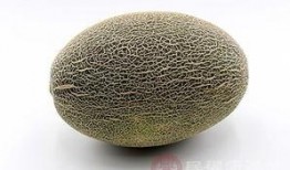 石头吃哈密瓜视频,一场视觉盛宴的诞生