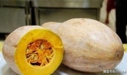 白方瓜怎么吃最好吃视频,视频教你如何吃出最佳口感