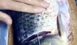 鱼线瓜怎么吃最好吃视频,视频教你如何吃出最佳口感