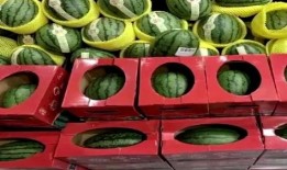 吃瓜群众抽奖全集视频