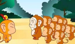 猴王吃瓜的视频,瓜果盛宴欢乐无限