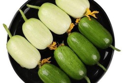 木子瓜怎样吃最好吃视频,视频教你如何吃出最佳口感