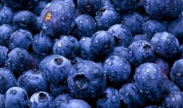 吃瓜视频恶魔蓝莓,神秘传说背后的真相