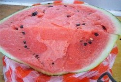 白糖吃瓜视频,揭秘白糖吃瓜视频的魅力