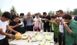 吃老汉瓜视频,揭秘农村生活的甜蜜滋味