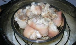 猪吃白兰瓜的视频播放大全,白兰瓜盛宴视频大盘点