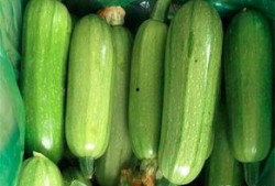 西葫芦瓜如何吃最好呢视频,这样吃最营养！