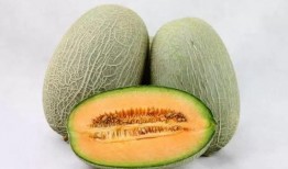 新疆瓜怎么吃最好吃视频