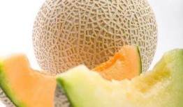 吃哈密瓜操作方法视频大全,视频教程大集合