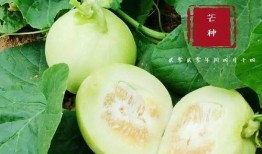 翰林名府吃瓜视频,揭秘豪宅背后的真实生活