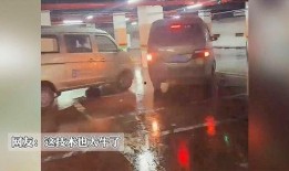 地下车库的吃瓜视频,一场视觉盛宴的狂欢