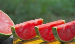 茂名网红吃瓜视频曝光,揭秘背后惊人真相