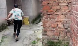 调虎离山吃瓜视频,吃瓜群众见证一场精彩对决