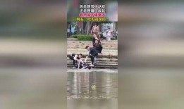 韩国足球吃瓜群众视频大全,吃瓜群众视角下的精彩瞬间