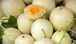 吃白兰瓜的小视频,短视频带你领略夏日清新滋味