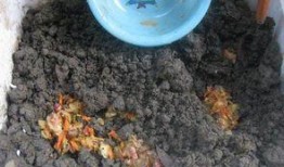 吃的瓜怎么留种子视频,跟着视频学留种