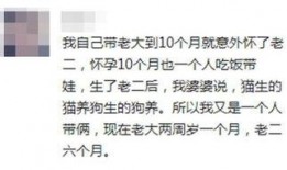 吃瓜观众视频文案怎么写,视频文案背后的故事